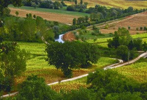 Campagna Sabina