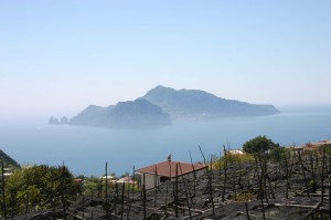 Profilo insolito di Capri