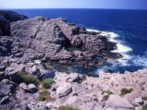 scogliere isola di san pietro
