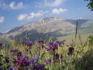 Monte Vettore