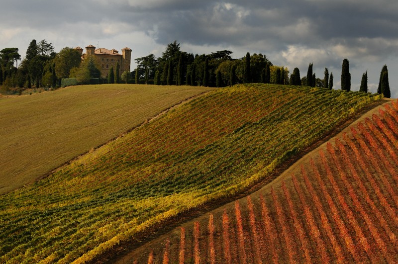 ''Castello del Piu Bello Quattro Castella RE'' - Quattro Castella