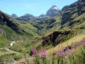 Andando verso il Benevolo