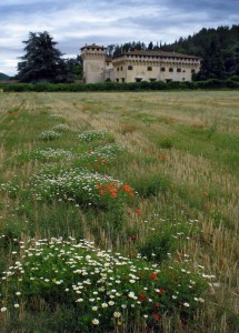 Castello tra i fiori