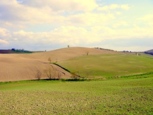 Paesaggio di Primavera in Maremma