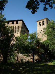 la storia tra gli alberi
