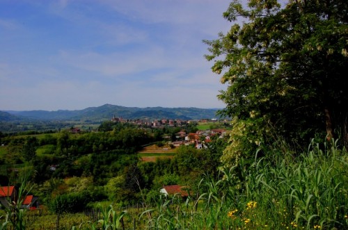 Terzo - La collina di fronte Terzo - La collina di fronte