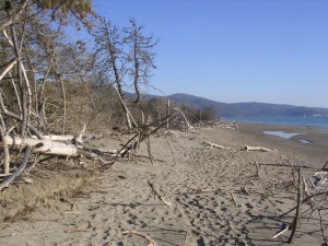 La spiaggia d’inverno