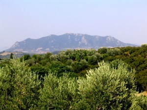 Panorama con il monte Soratte