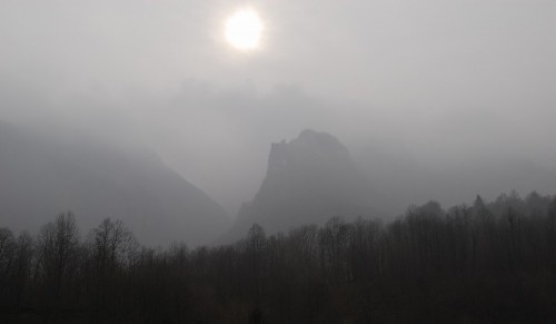 Posina - Nebbia sul bosco