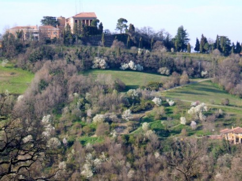 Bologna - Villa Ghigi