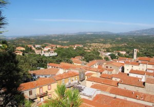 Panorama tra il verde