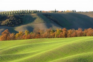 Colline d’inverno