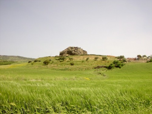 Barumini - Il nuraghe nel verde Barumini - Il nuraghe nel verde