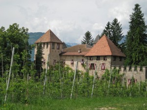 Castello di Malgolo