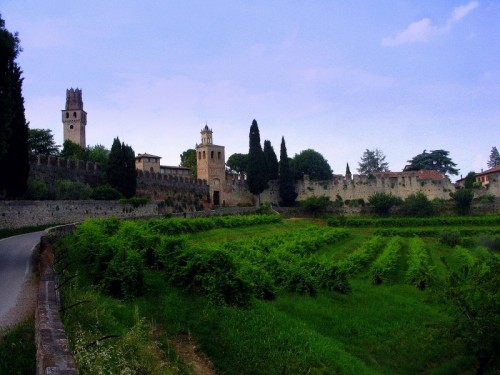 Susegana - castello di S. Salvatore Susegana - castello di S. Salvatore