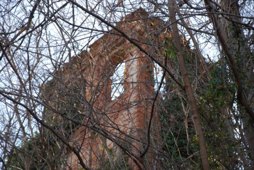 Camburzano - Torre abbandonata nella boscaglia