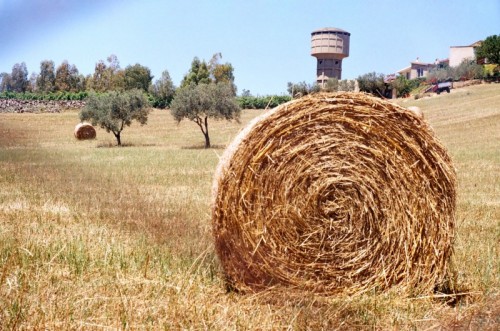 Villamassargia - voglio andare a vivere in campagna....