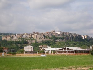 Panorama di Orte (VT) da Petignano - 05.06.2009