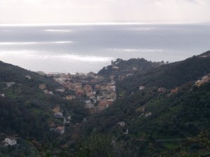 Sulla strada per Genova1