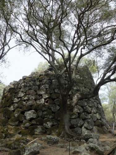 Paulilatino - Villaggio nuragico Paulilatino - Villaggio nuragico