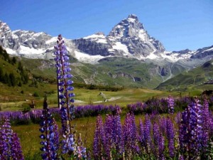 Passeggiando in montagna