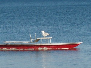 Trevignano: panorama del lago con … barcaiolo solitario