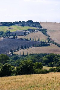 Disegnata dalla Natura