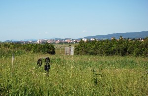 In fondo al campo