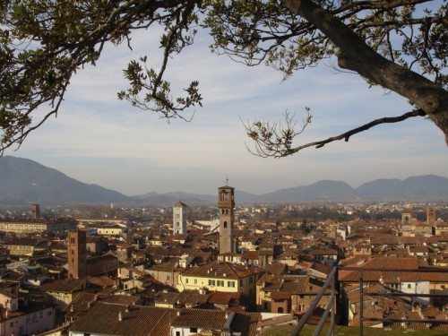 Lucca - I tetti di Lucca dalla cima di Torre Giunigi