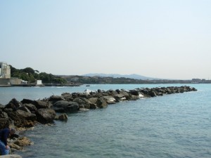 Veduta del litorale di Castiglioncello