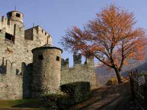 Castello di Fenis - Particolare