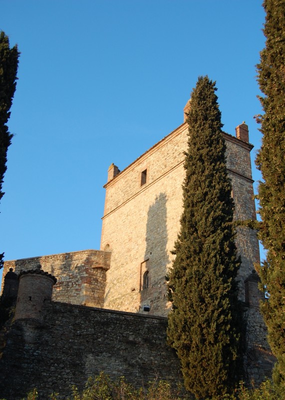 ''Il Castello di Serravalle'' - Castello di Serravalle