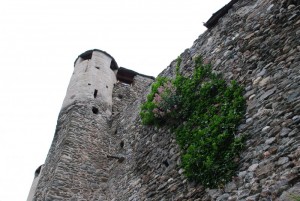 particolare del castello