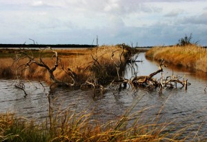 Veduta dello stagno di S’ Ena Arrubia