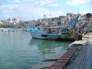 Pescherecci nel porto