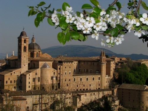 Urbino - Urbino il palazzo ducale