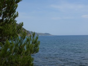 Uno sguardo alla costa da Ogliastro Marina