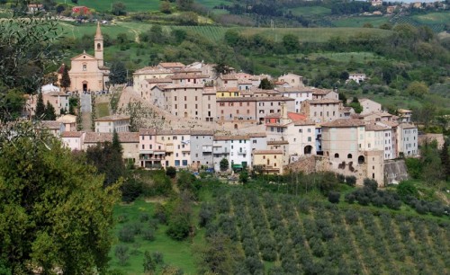 Cartoceto - Il paese dell'olio bono Cartoceto - Il paese dell'olio bono