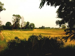 Estate… stagione estrema