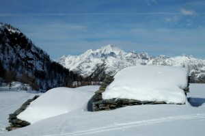 Alpe Campascio e sullo sfondo il Monte Disgrazia