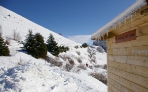Trà ghiaccio e neve