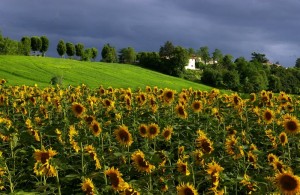 SCARPERIA…. NON SOLO AUTODROMO….