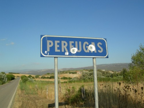 Perfugas - inequivocabile... Perfugas - inequivocabile...