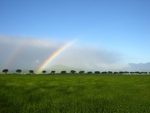 Arcobaleno