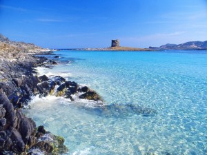 Spiaggia La Pelosa e torre avv.to n.2