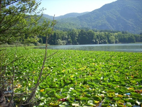 Rionero in Vulture - Monticchio il lago piccolo Rionero in Vulture - Monticchio il lago piccolo