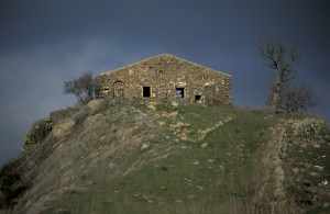 Solitudine campestre