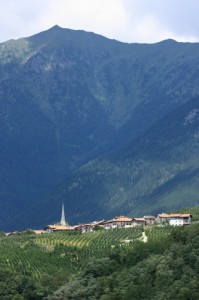 frazione di Varollo