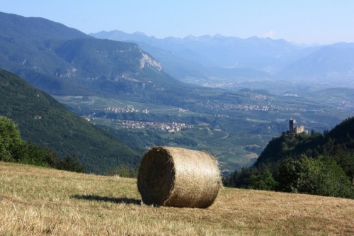 Cavedago - vista della val di non e castel belfort da Cavedago Cavedago - vista della val di non e castel belfort da Cavedago