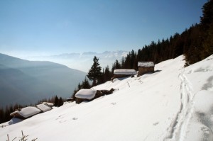 Salendo all’Alpe Piasci di Torre Santa Maria